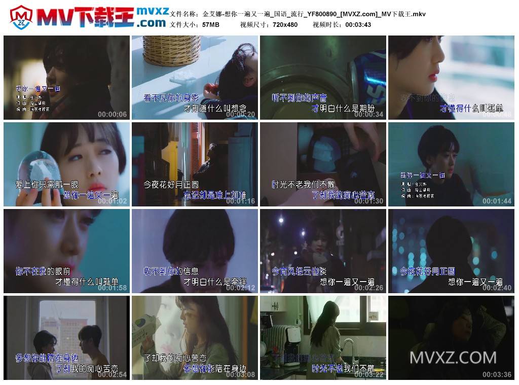 金艾娜-想你一遍又一遍_国语_流行_YF800890